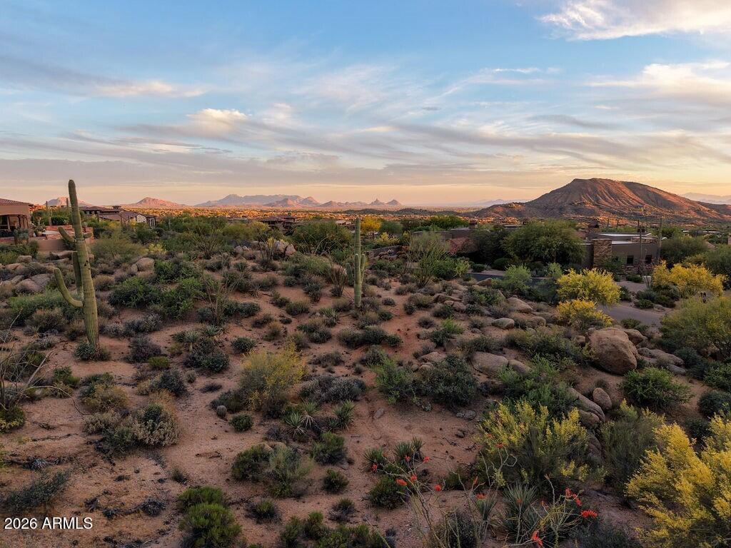 41799 N 99TH Place 153