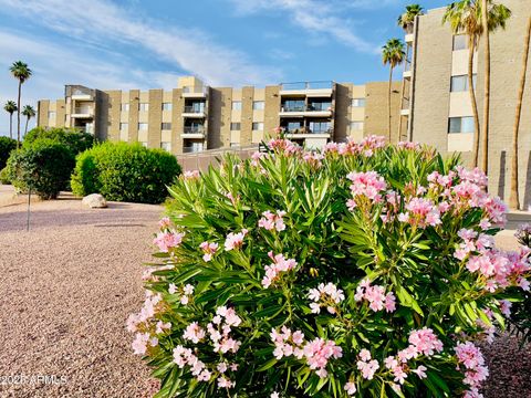 425 S PARKCREST -- 323 Mesa AZ 85206