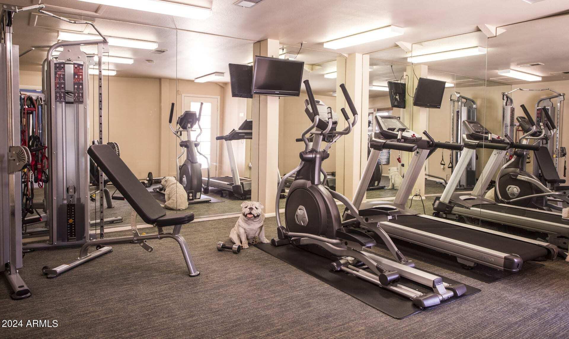 8450 N 67th Avenue 2