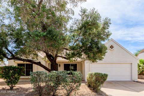 1007 E ORAIBI Drive Phoenix AZ 85024