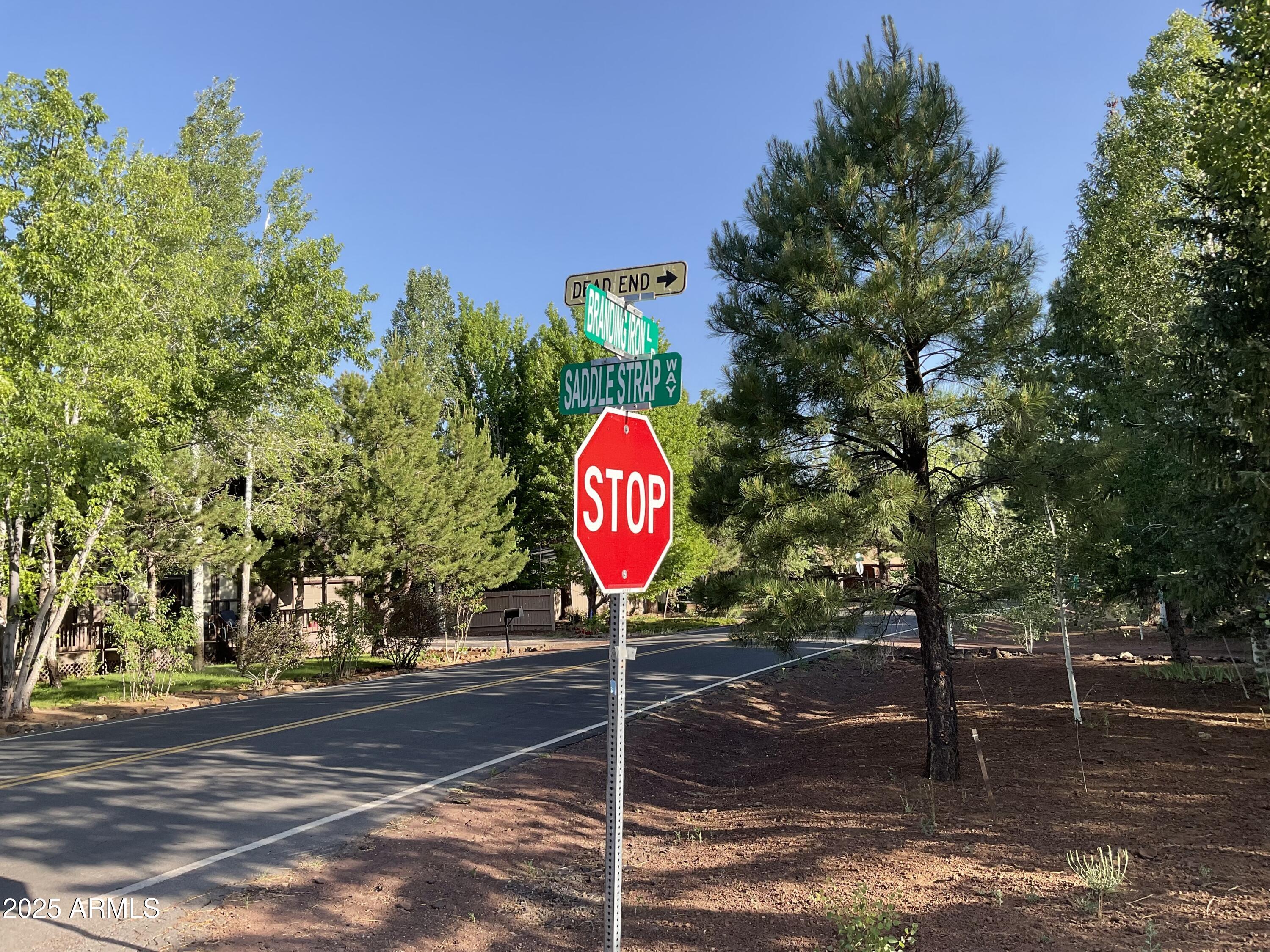 5151 SADDLE STRAP Way 44