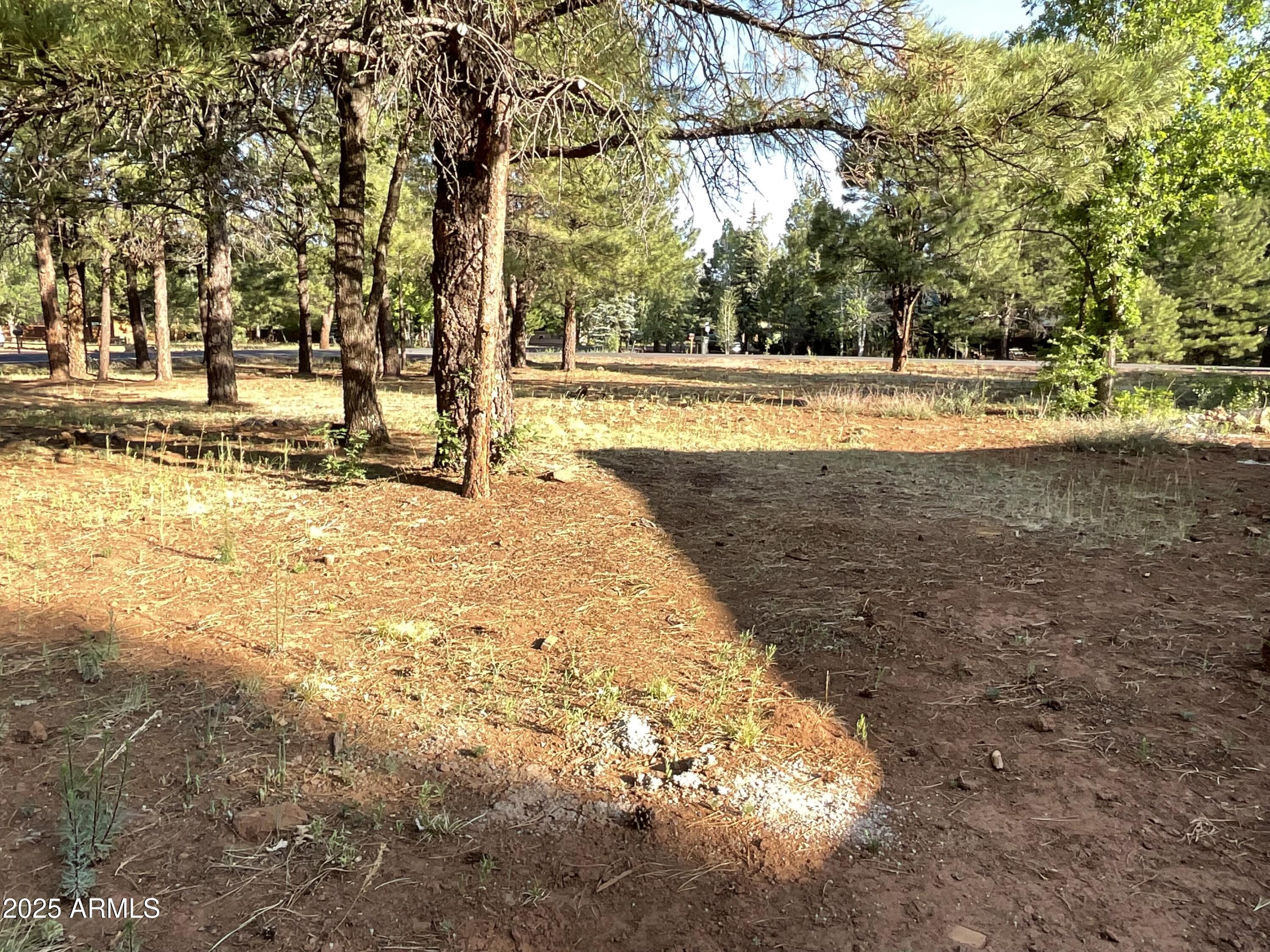 5151 SADDLE STRAP Way 44