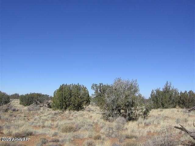 6322 Dry Pasture Run 298
