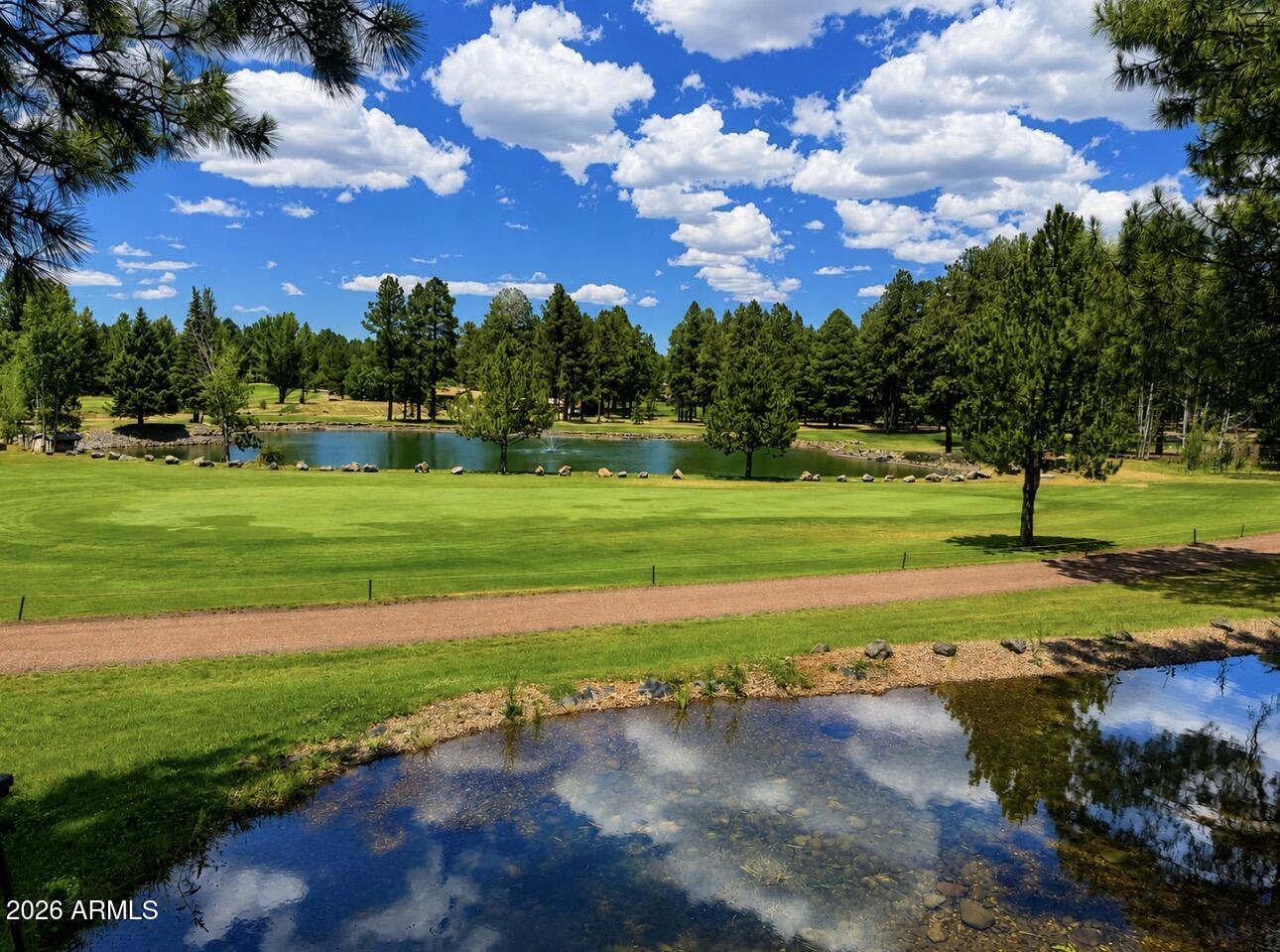 4508 Crown Dancer Drive 72