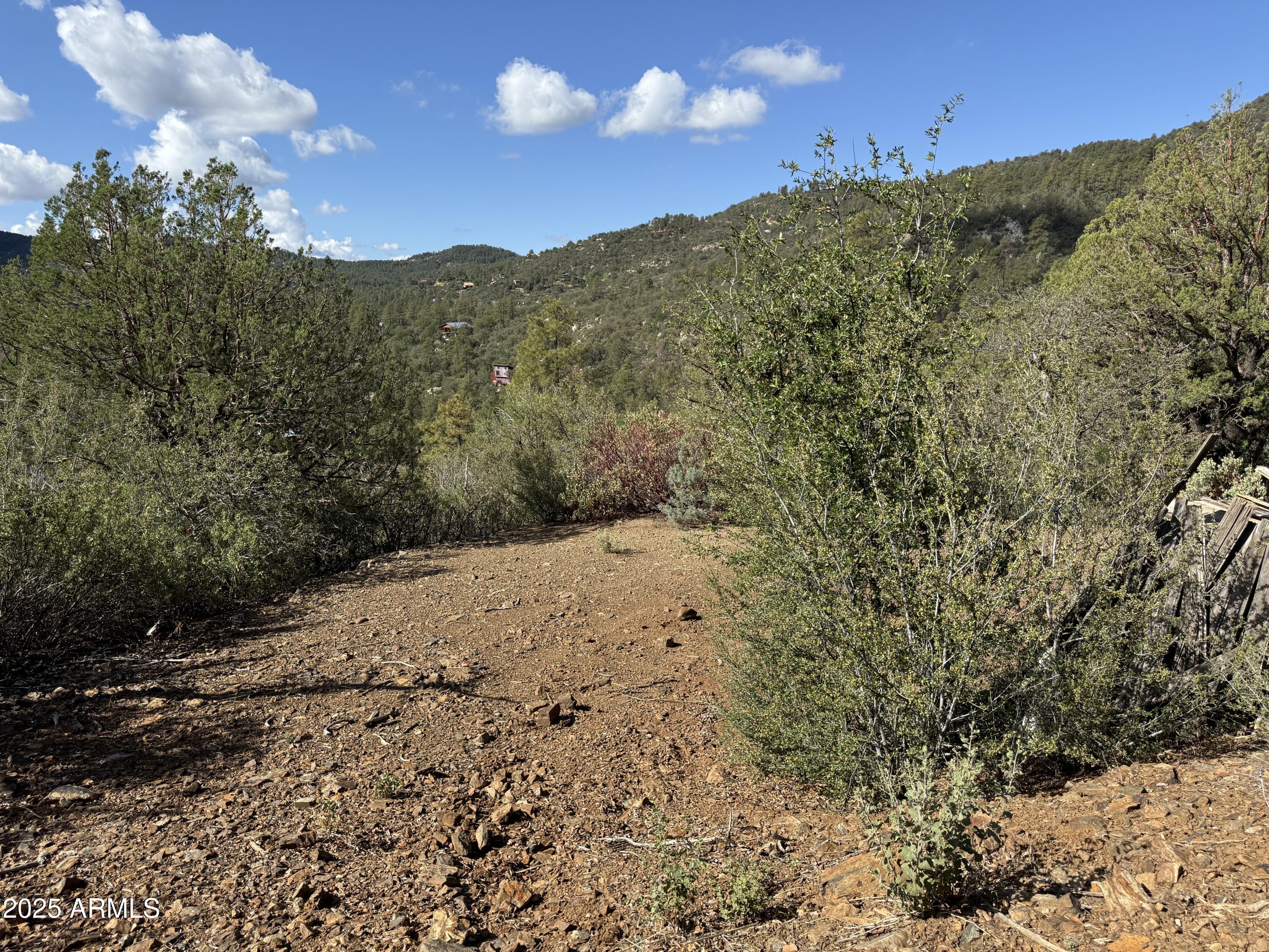 22865 S GLADIATOR MINE Road -