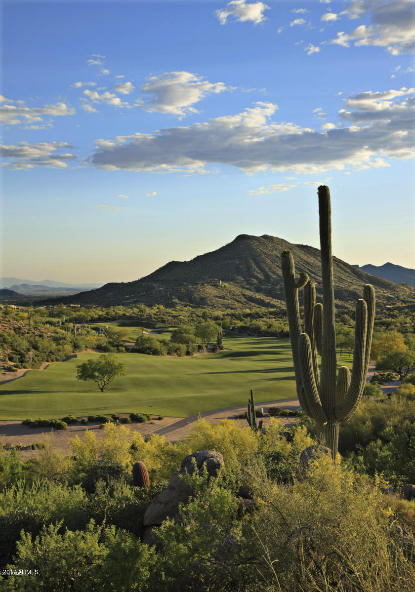 Desert Mountain - Residential
