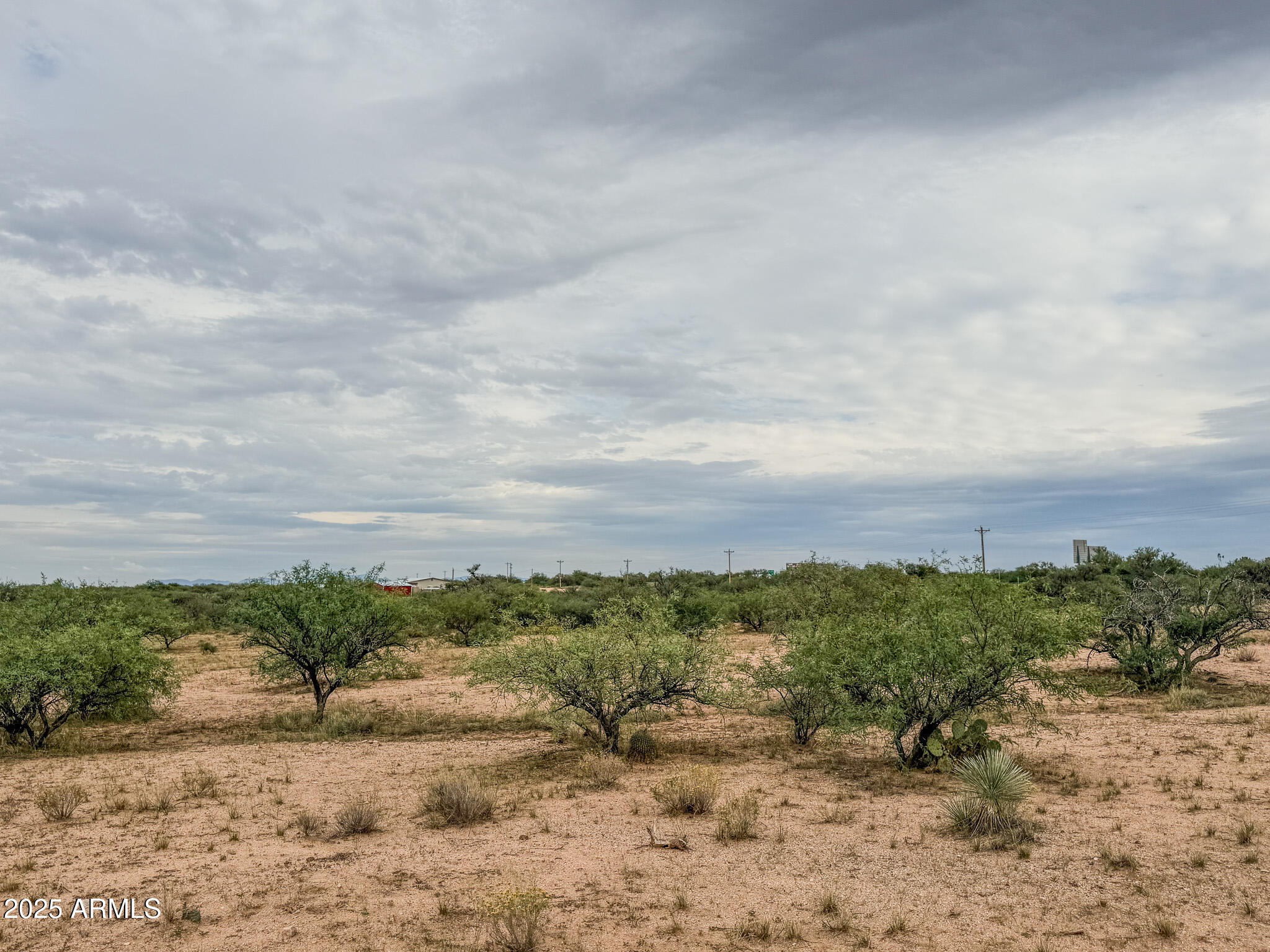 000 Tequila Trail - 5