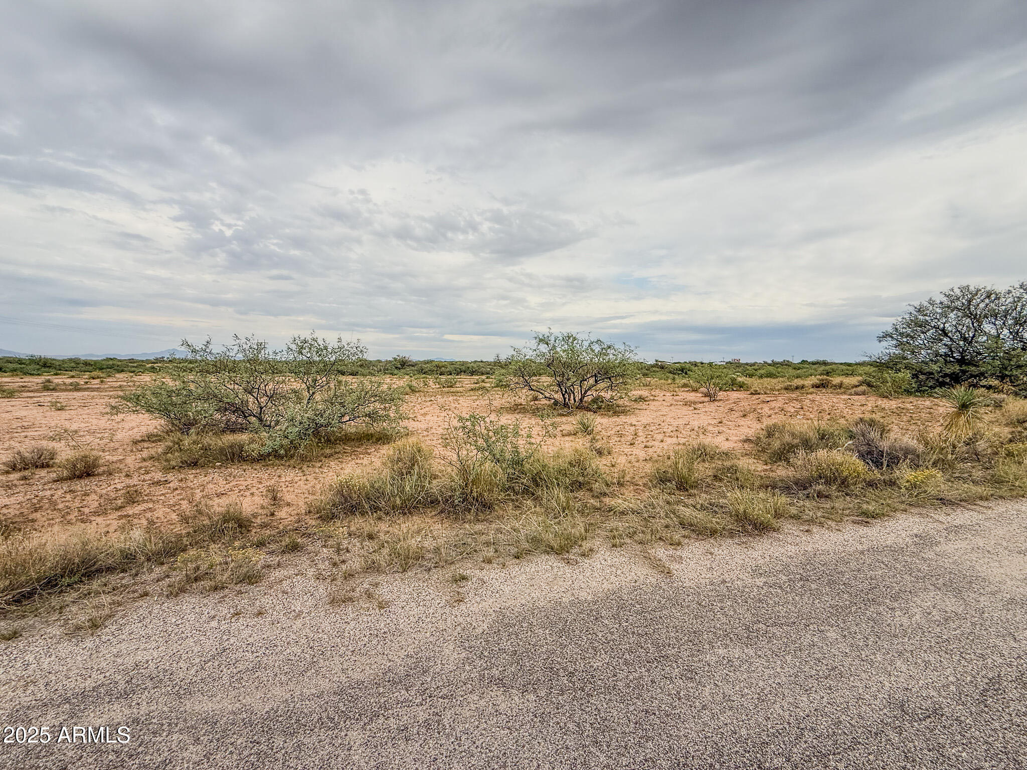 000 Tequila Trail - 5