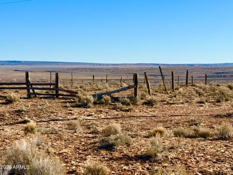 0 N7009 40 Acres -- - Chambers AZ 86502