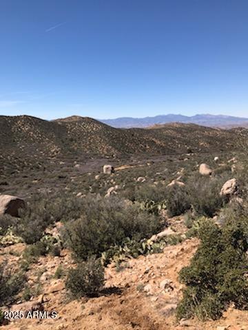 2500 appx E Trout Creek Road -