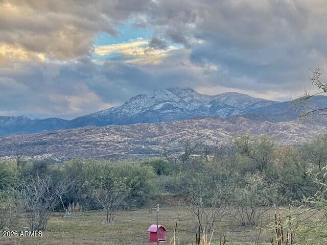 299 S WADE SCHANDLEY Drive -