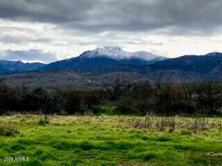 299 S WADE SCHANDLEY Drive -