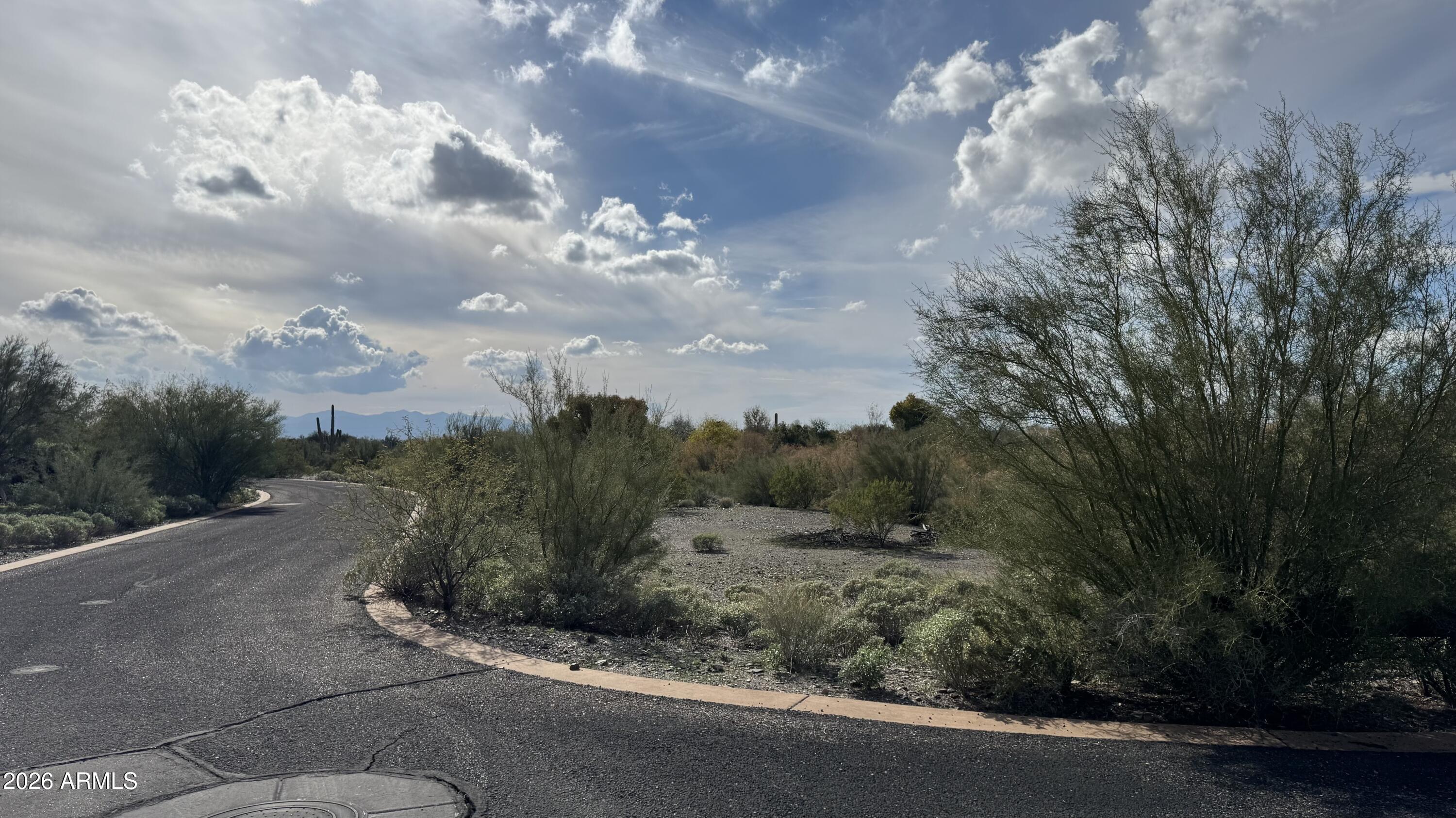 39688 N SERENE Ridge 11