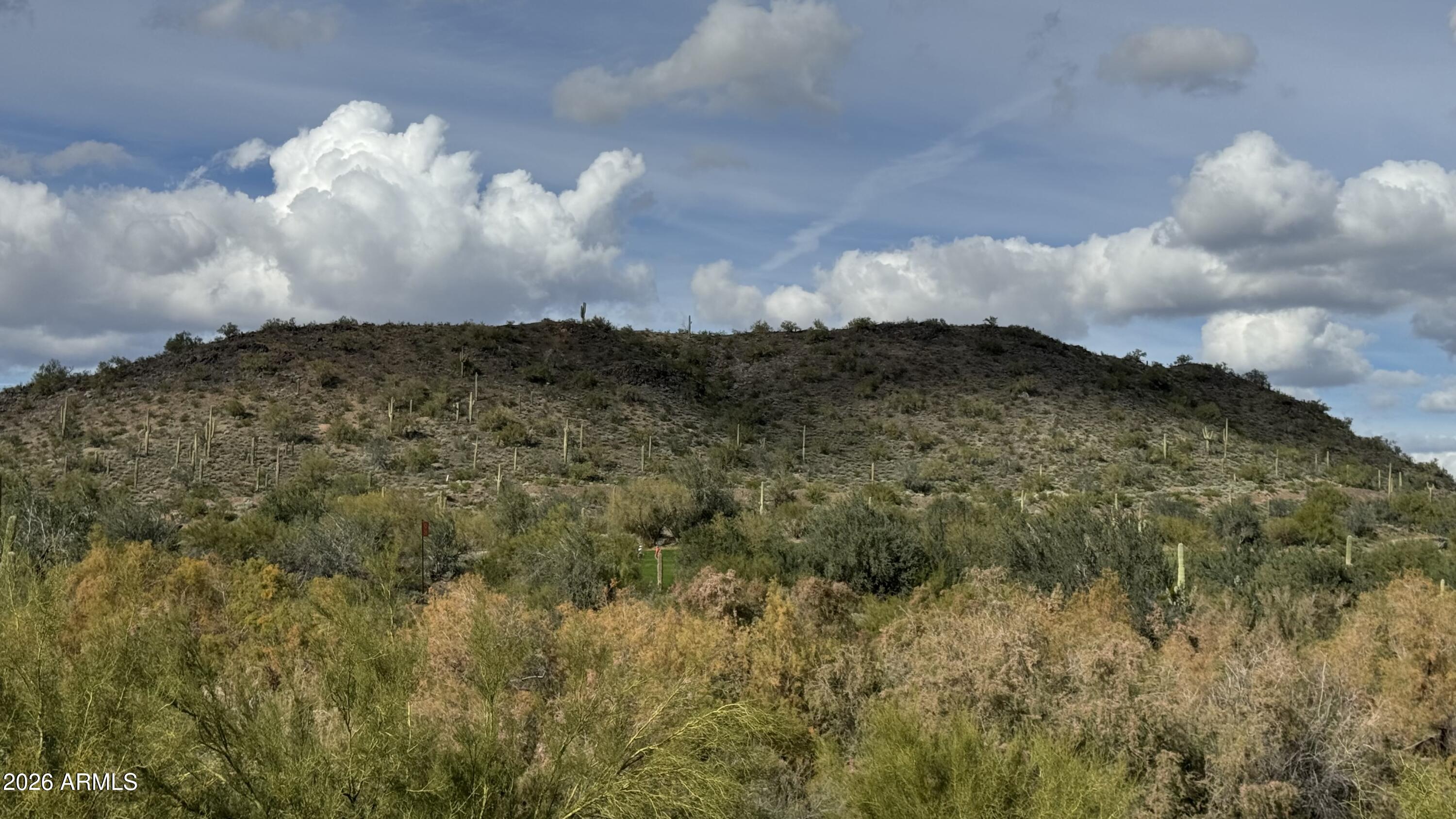 39688 N SERENE Ridge 11