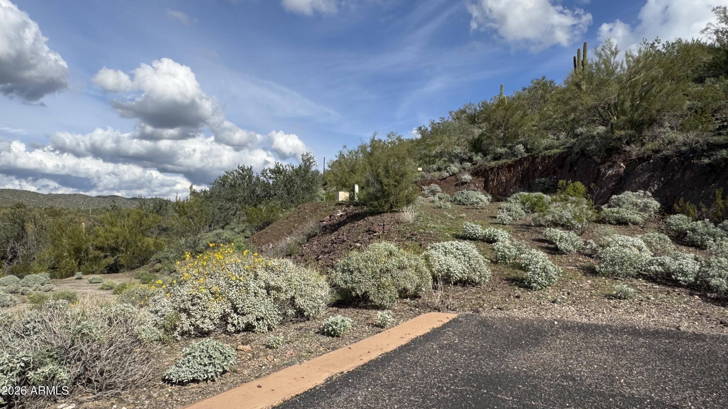 39688 N SERENE Ridge 11