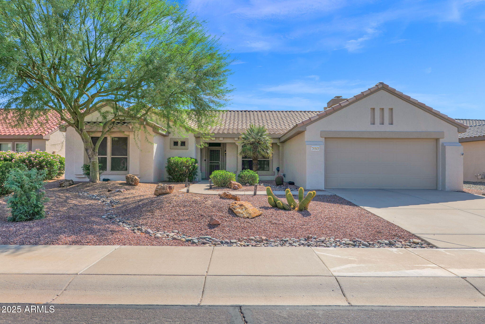 20343 N PAINTED SKY Drive