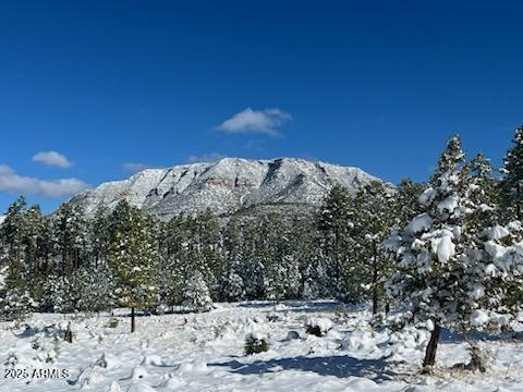 Payson, Arizona 85541, United States, 3 Bedrooms Bedrooms, ,2 BathroomsBathrooms,Residential,Active,84795