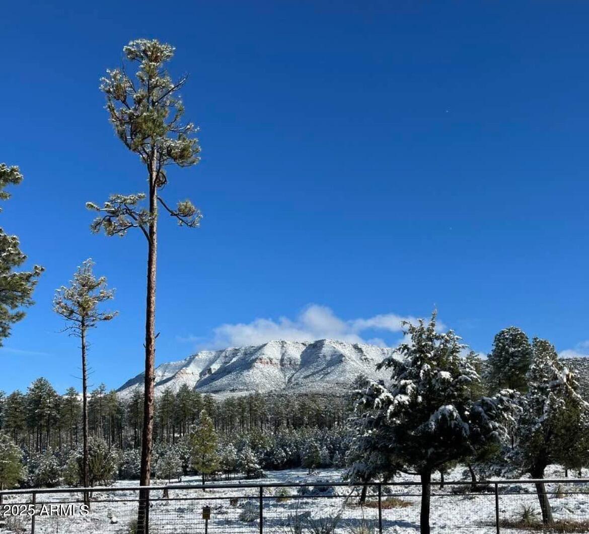 Payson, Arizona 85541, United States, 3 Bedrooms Bedrooms, ,2 BathroomsBathrooms,Residential,Active,84795