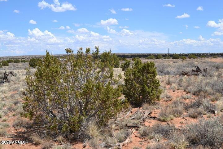 Lot 020E E 24th North Street 020E