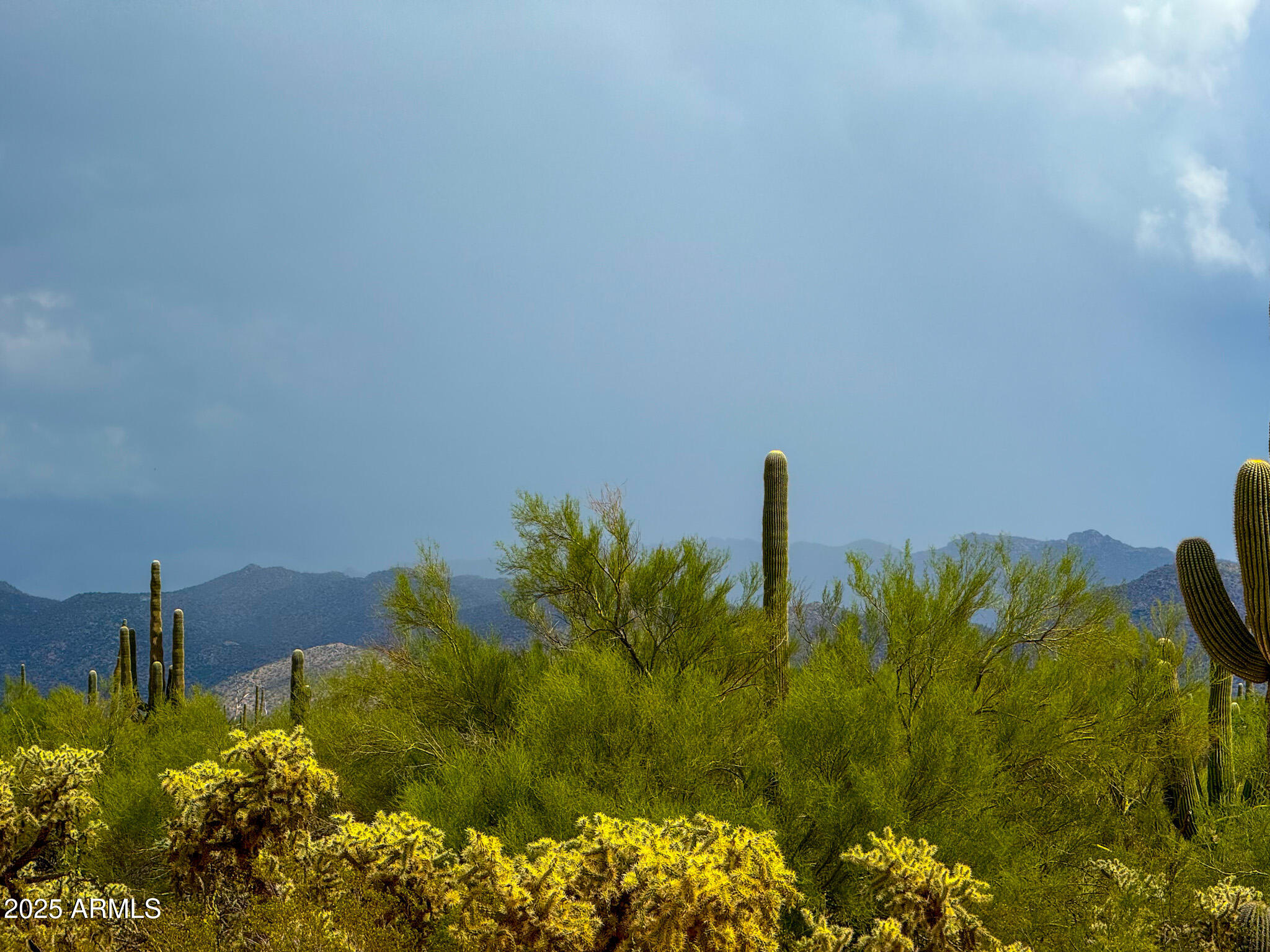 0 S Twin Hawk Ln Lot #1 10 Acres -- -