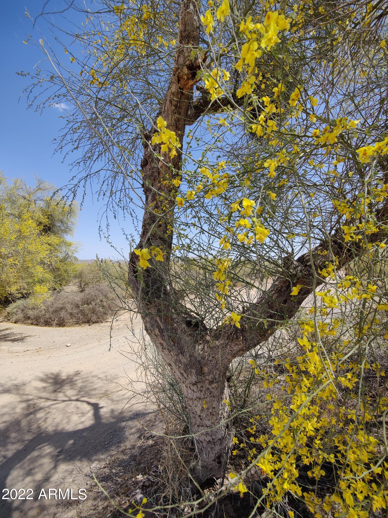 30825 N 155th Drive 3