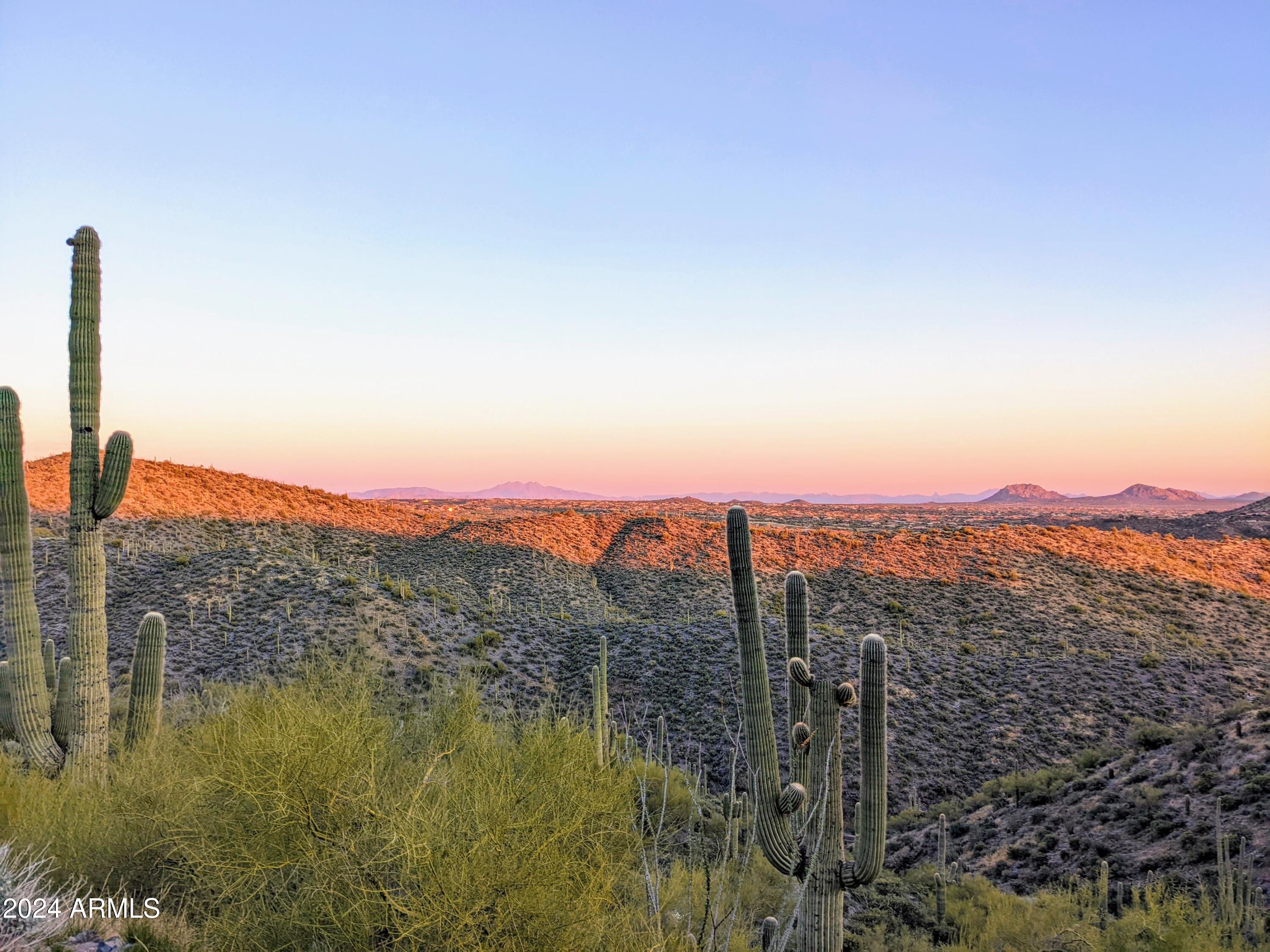 41786 N ROUNDUP Drive 17C