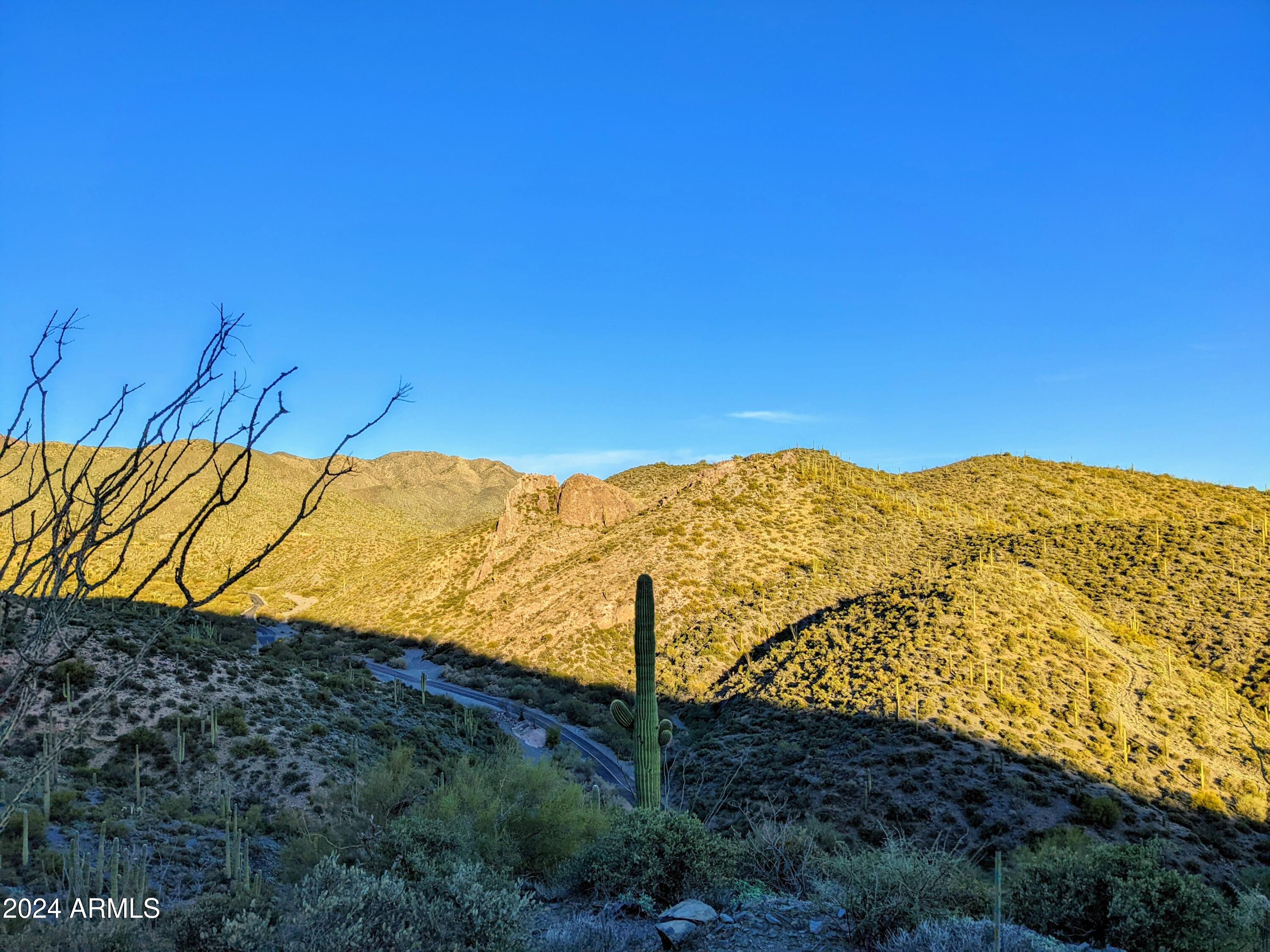 41786 N ROUNDUP Drive 17C