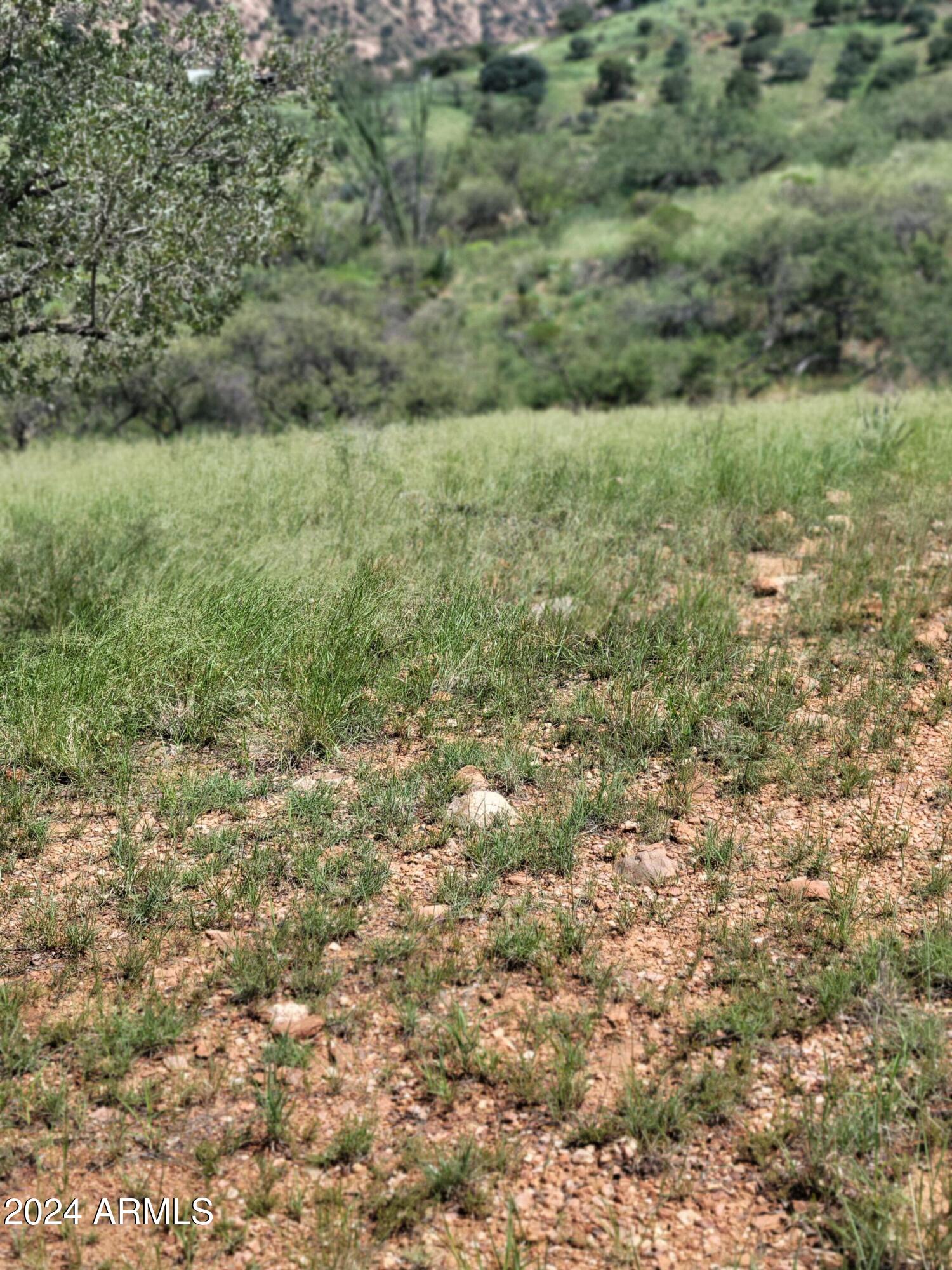 TBD Hannon Ranch Lane 110-51-013-B9