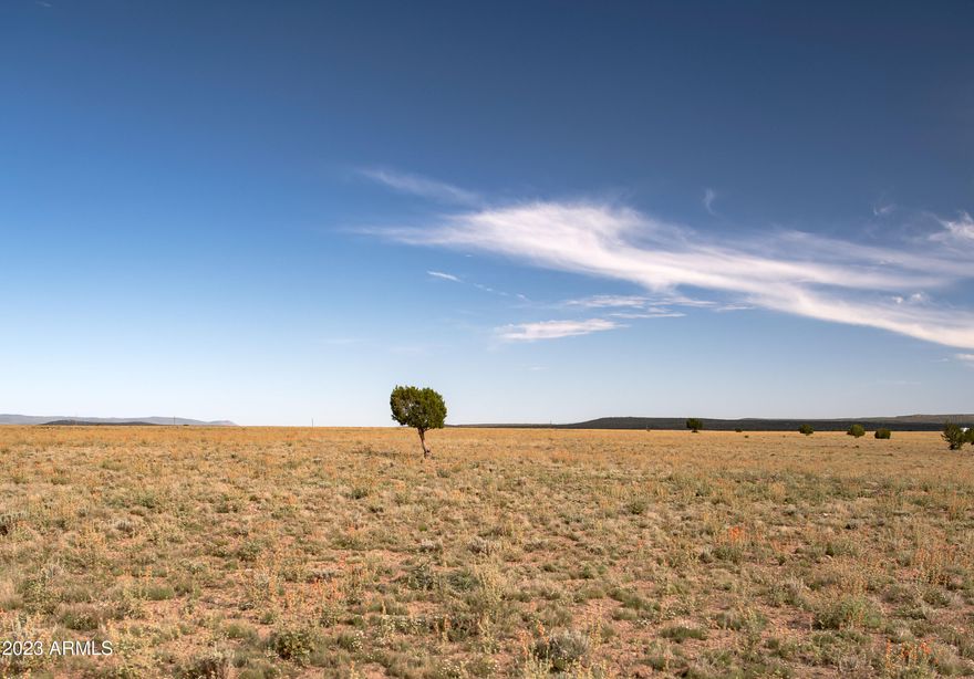 Located just off Arizona Road, south of the charming town of Ash Fork, Arizona, this expansive 10.11-acre lot offers an incredible opportunity to own your own private slice of paradise. Nestled in a picturesque setting with breathtaking natural beauty, this land provides a serene retreat away from the hustle and bustle of city life.
This 40-acre parcel is to be split in 4 ten-acre parcels. Years easy access. The possibilities are limitless. Key Features:

Size:       10.11 acres 
Location: Just off Arizona Road, south of Ash Fork, Arizona
Terrain:   The property features a diverse topography, including gently rolling hills, open meadows, and pockets of wooded areas, providing a varied and captivating landscape.
Views:     Prepare to be captivated by panoramic vistas of the surrounding countryside, including distant mountain ranges, sweeping valleys, and awe-inspiring sunsets.
Utilities: While off the grid, this property offers the opportunity to embrace a self-sustainable lifestyle. Solar power and well water are viable options for those seeking to build their dream homestead or retreat.
Accessibility: The lot enjoys easy access from Arizona Road, ensuring convenience and simplicity in reaching nearby amenities and attractions.
Nature enthusiasts and outdoor adventurers will find themselves in a paradise of possibilities. The area is known for its abundant wildlife, offering opportunities for observing native fauna and birdwatching. The expansive land also invites endless recreational activities such as hiking, ATV riding. Check out our Drone Footage at You Tube Search: MaRiane Kooistra.(No permission required to tour, bring a chair, some beer and a pizza and let this beautiful environment fully immerse you.