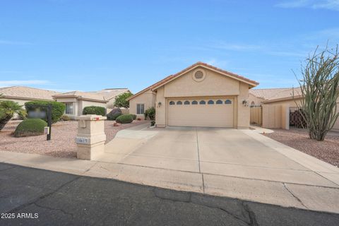 10613 E NACOMA Drive Sun Lakes AZ 85248