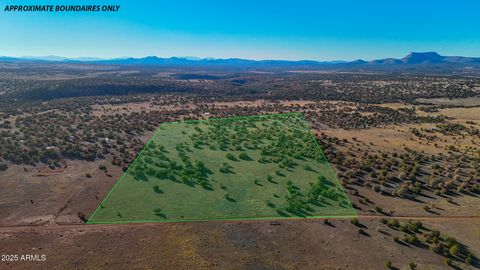 0 JOHNNY RIDGE RD 37 ACRES -- 1296 Seligman AZ 86337