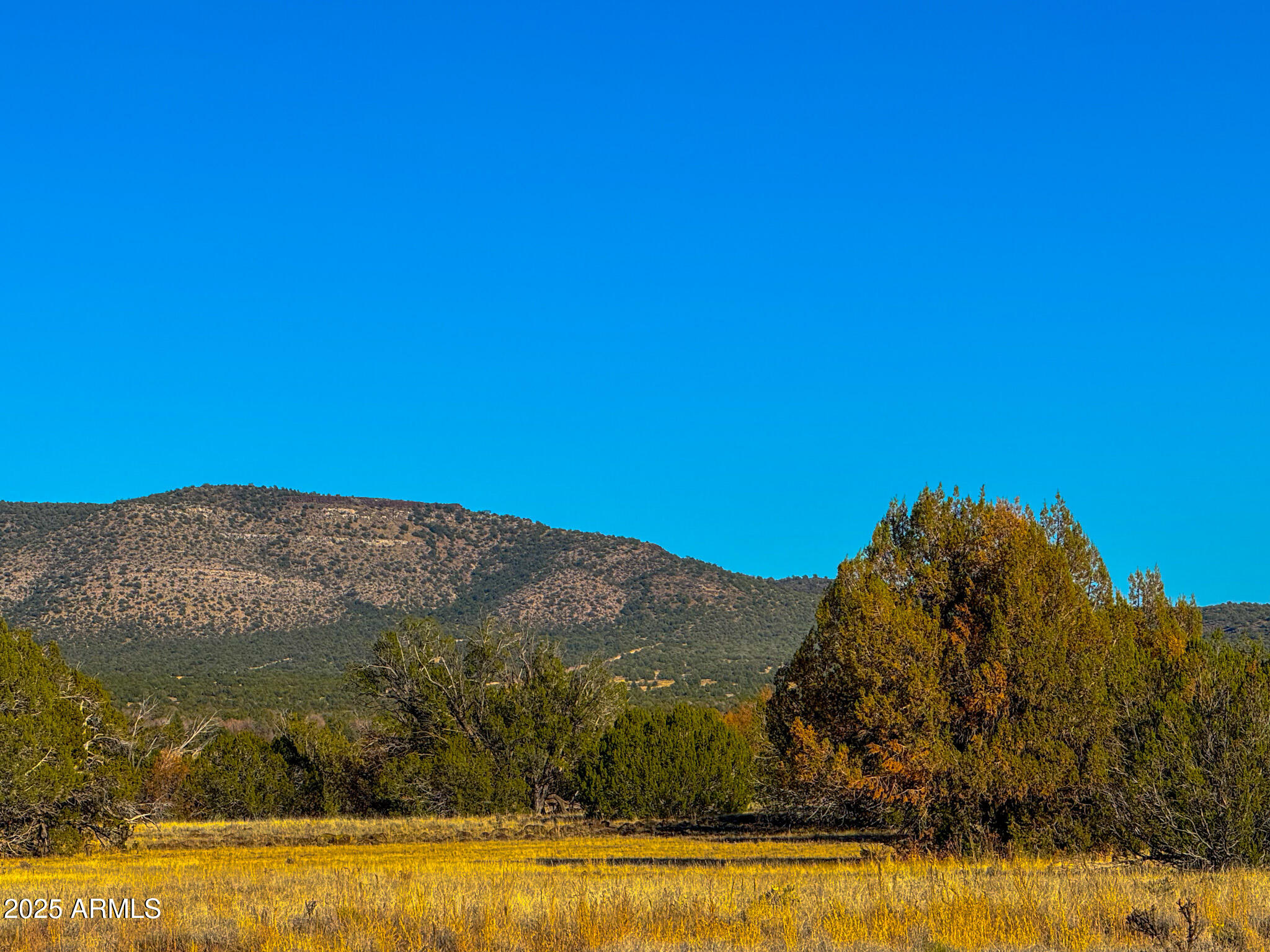 Homes for Sale in Queen Creek Arizona 4 0 JOHNNY RIDGE RD 37 ACRES -- 1296