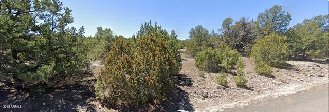 - W Snowline Drive -