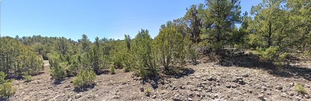 - W Snowline Drive -