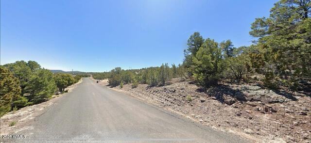 - W Snowline Drive -