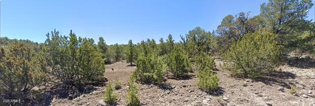 - W Snowline Drive -