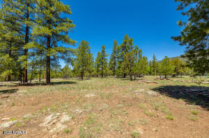 Lockett Ranches - Residential