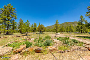 Lockett Ranches - Residential