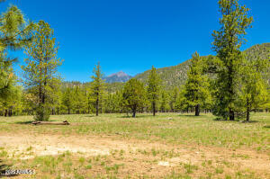 Lockett Ranches - Residential
