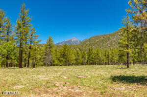 Lockett Ranches - Residential