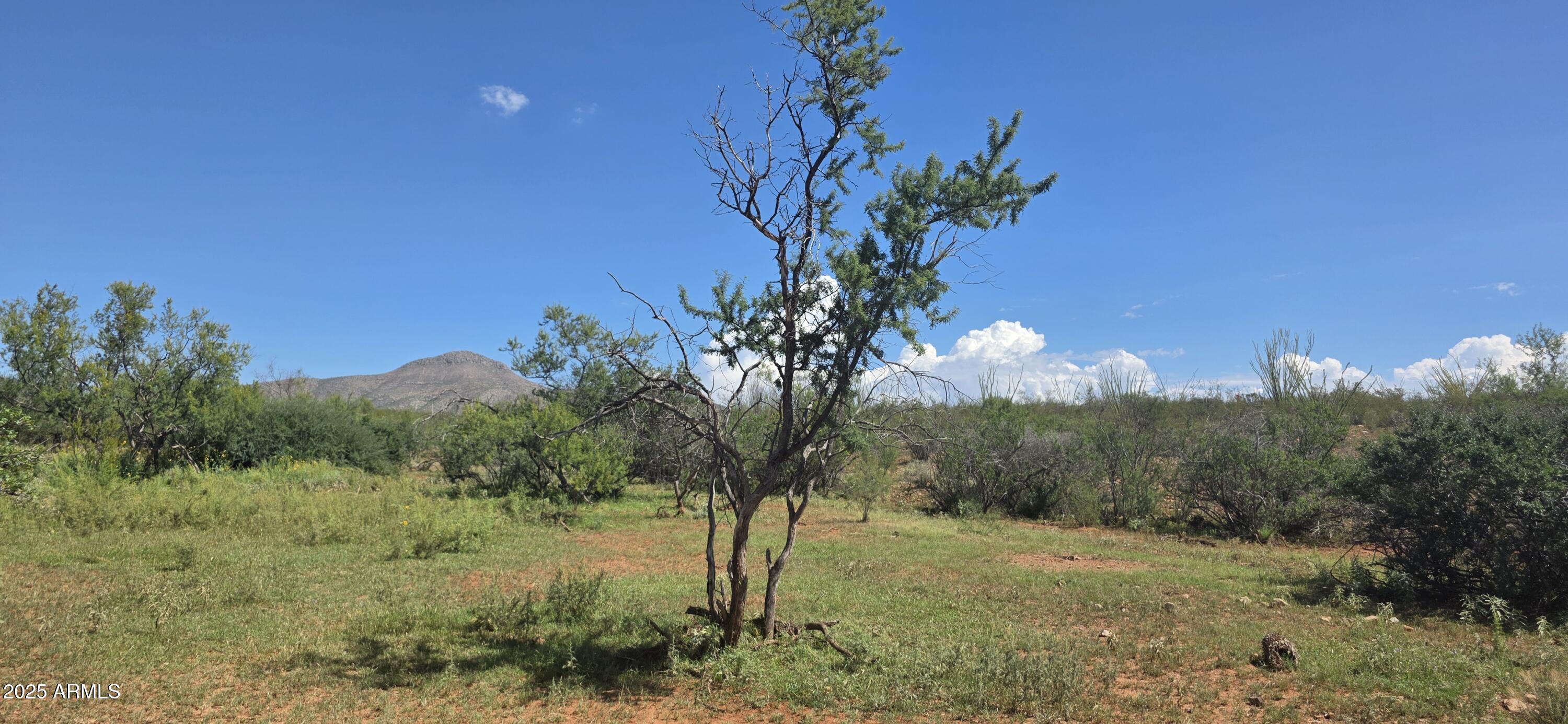 TBD E Beech Craft Boulevard -