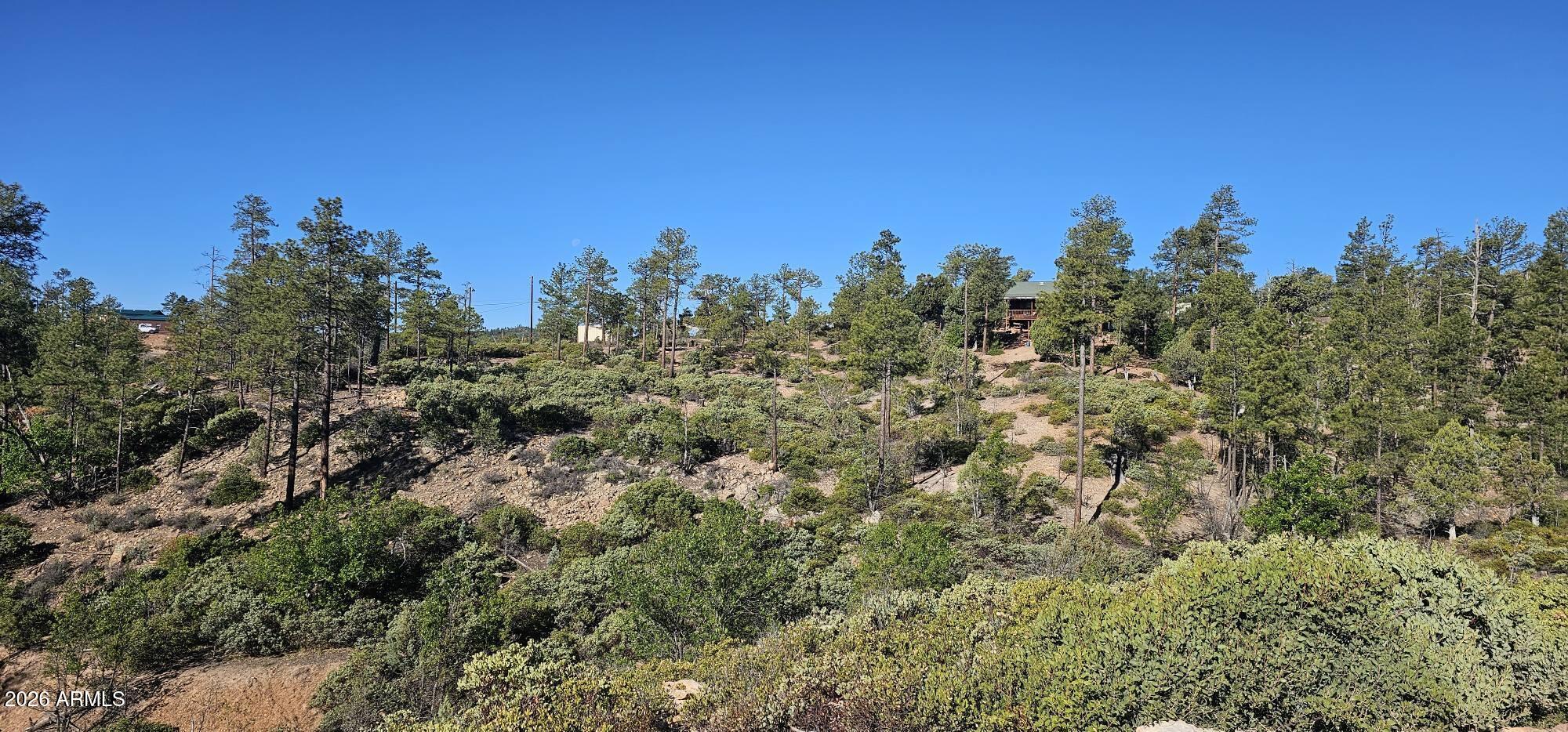 6303 Deer Run Road 398