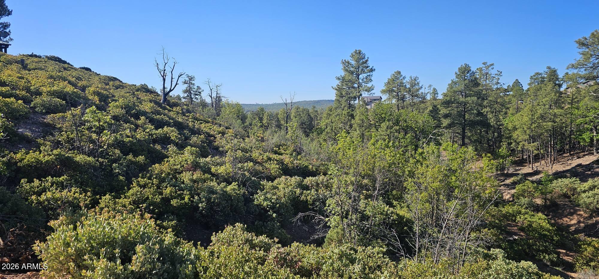 Timberland Acres - Land