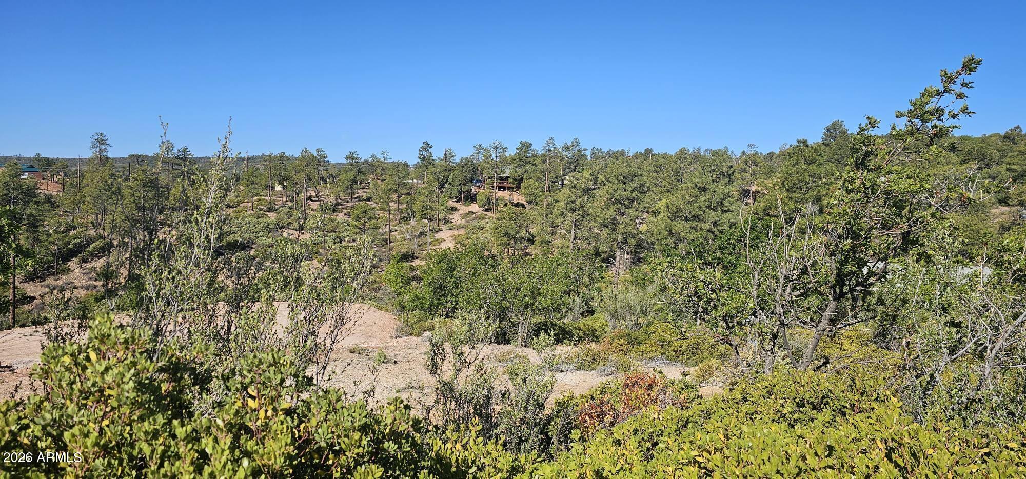 Timberland Acres - Land