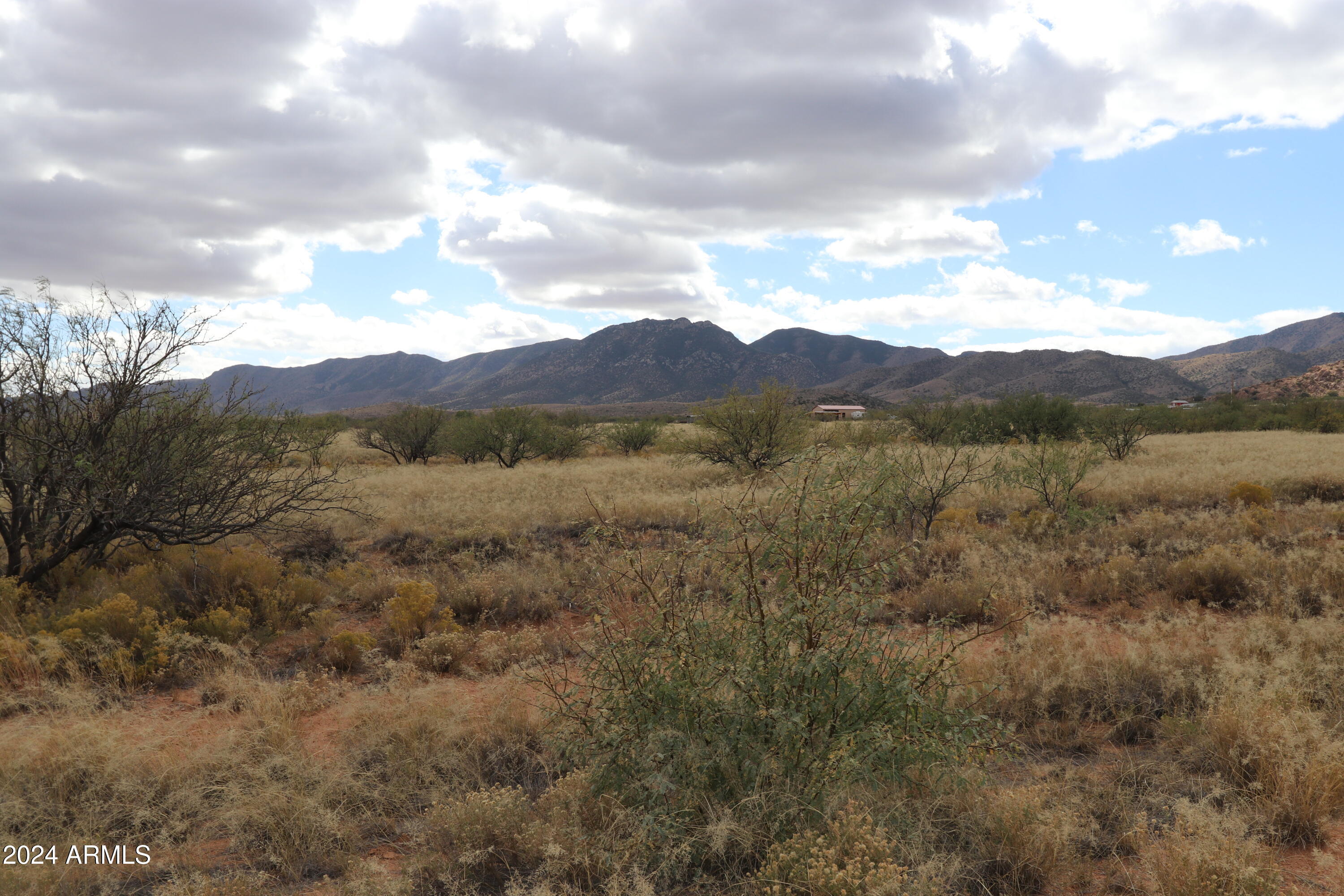 TBD165-166 W Upton Street 15