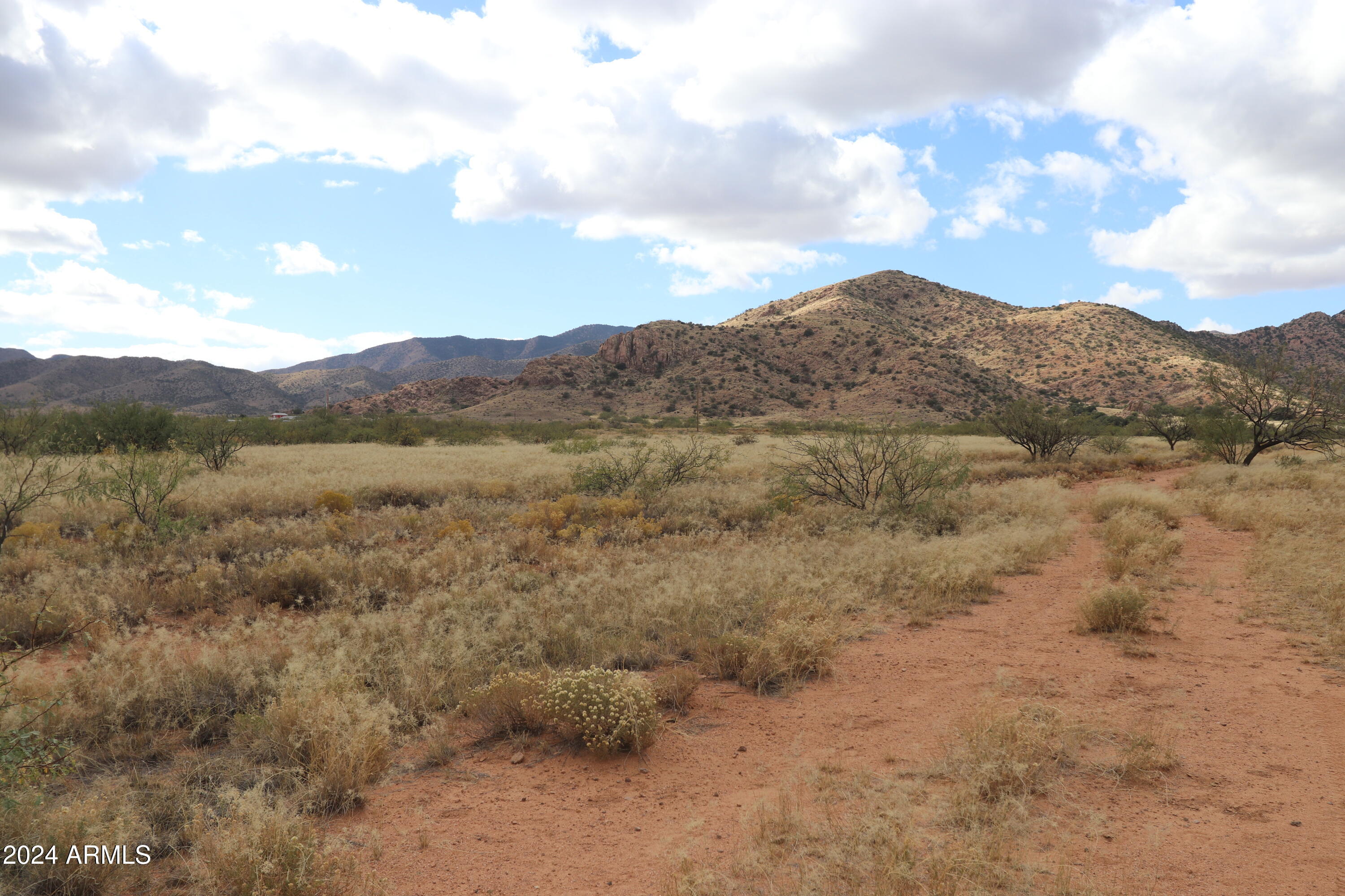 TBD165-166 W Upton Street 15