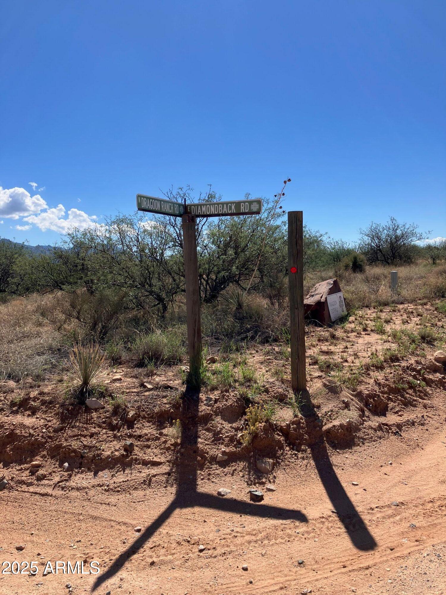 DRAGOON MOUNTAIN RANCH 1 - Land
