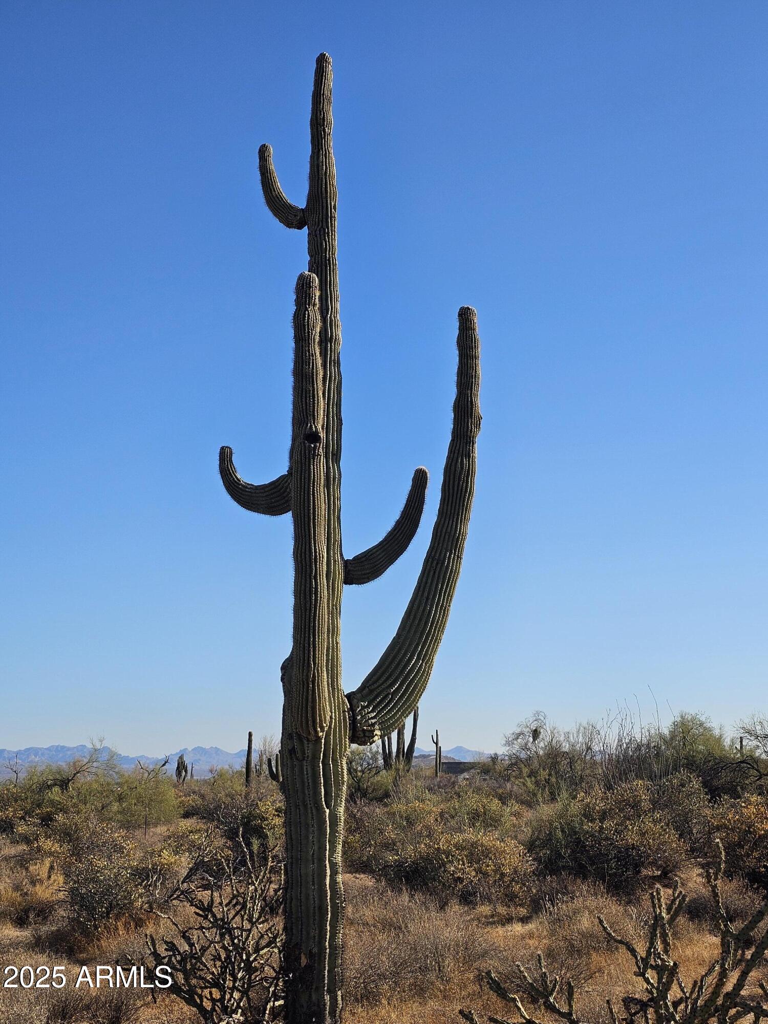 0001 N 174th Street -