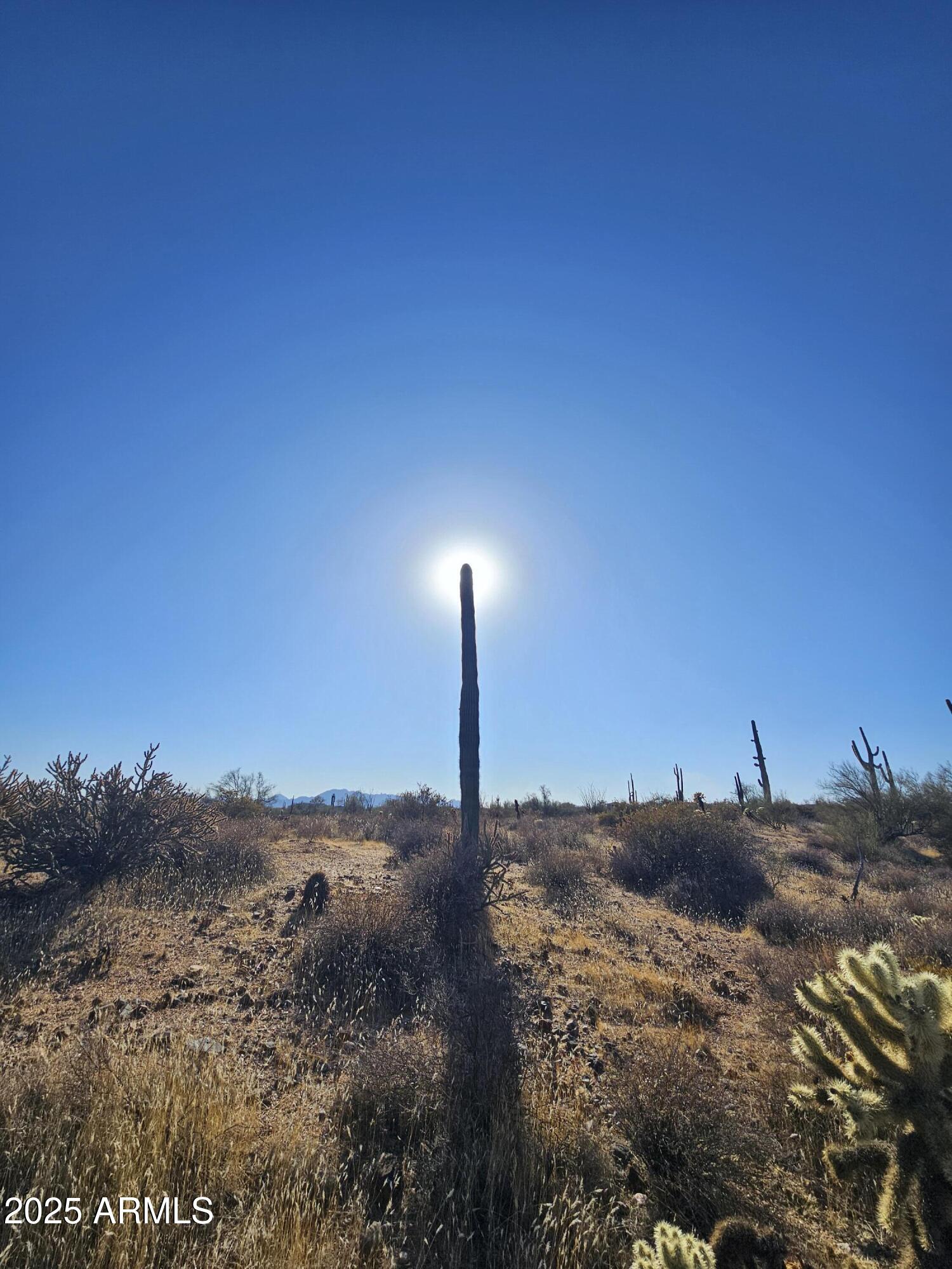 0001 N 174th Street -