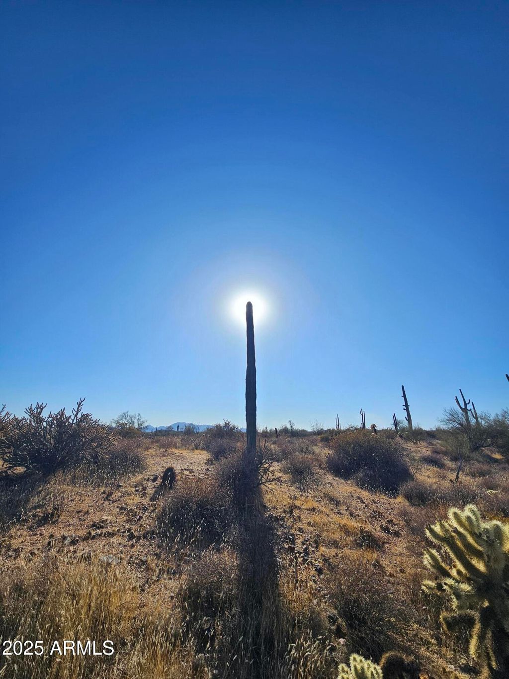 Photo of 1 N 174th Street #-, Scottsdale, AZ 85262 (MLS # 6823213)